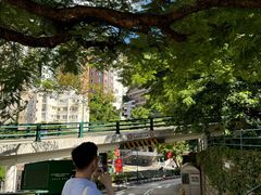 -香港大学
