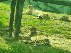 -北京野生动物园