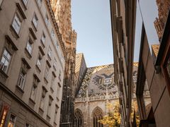 -斯蒂芬主教座堂(Stephansdom)