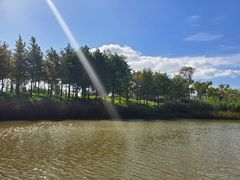 -上海长兴岛郊野公园