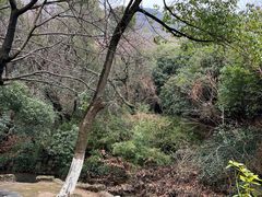 -宝岩生态观光园