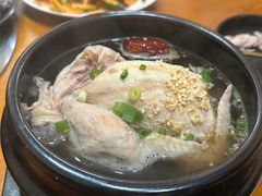 -高社长参鸡汤(高丽街店)
