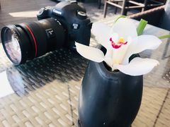 -上海和平饭店华懋阁 Cathay Room