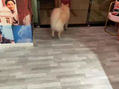 -肆兮眼镜·蔡司·徕卡战略合作店(大坪店)