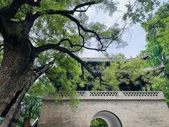 -西安博物院