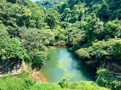 -鼎湖山风景区