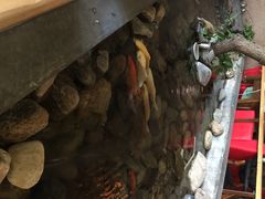 山有花啡餐厅-山有花啡餐厅(常营总店)