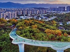 -飞凤山奥体公园