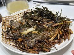 -新吉士·上海菜(浦东LCM置汇旭辉店)