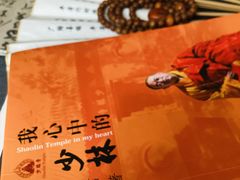 -钦赐仰殿道观