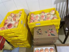 -老袁家蜜桃农场·阳山水蜜桃