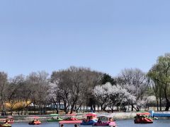 -北陵公园