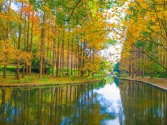 -上海共青森林公园