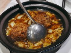 -丁老爷子苏香圆
