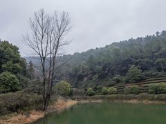 -九龙潭景区