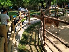 -西安秦岭野生动物园