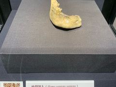 -北京周口店北京人遗址博物馆