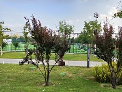 -瀛海足球主题公园