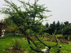 -江南大学(蠡湖校区)