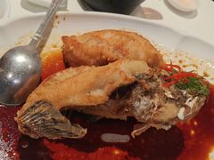 -侨美·唐荔园·40年地道粤菜