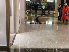-上海波特曼丽思卡尔顿酒店