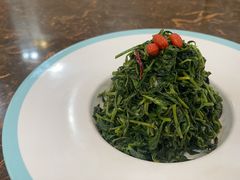 养生枸杞苗-老毛手抓·盐池滩羊非遗手抓(宁夏总店)