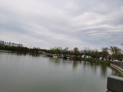 -上海长兴岛郊野公园