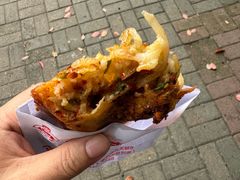 -半月镰胡姐脆皮萝卜饺子