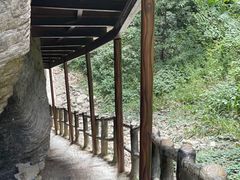 -蝶舞清江·恩施云顶景区(黄鹤峰林)