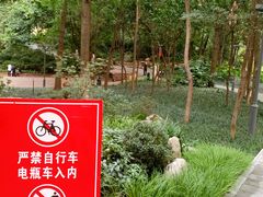 -成都市活水公园