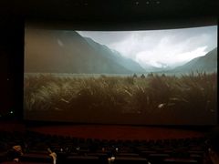 -悦江新远影城IMAX