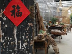 -金科花卉市场