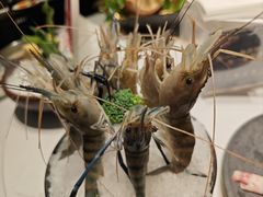 -红鼎豆捞·专注品质海鲜20年(宝丰路店)