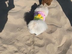 -青岛第三海水浴场