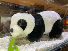 -红辣椒·川菜·火锅(大洋中心店)