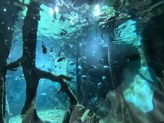 -福州罗源湾海洋世界旅游区