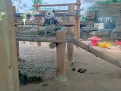 -西霞口神雕山野生动物世界