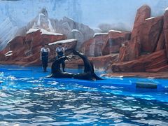 -上海海昌海洋公园