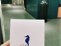 -海马体照相馆(佛山岭南站店)