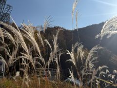 -少华山国家森林公园