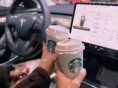 -TESLA 特斯拉(广州天环广场体验店)