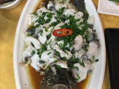 -鸽王世家(东华东路店)