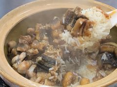 黄鳝煲仔饭-红星光发煲仔饭(文海店)
