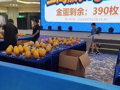 -红星美凯龙北京至尊MALL(东四环中路店)
