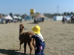 -宁波冰雪大世界(北仑区)