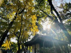 -西园戒幢律寺