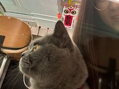-ID.PHOTO照相馆(嘉里企业中心店)