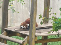 -青藏高原野生动物园