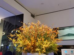 -大董(环贸iapm店)