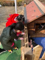 -萌宠亲子动物乐园(槐房万达店)